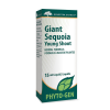 Giant Sequoia Young Shoot Phytogen by Genestra