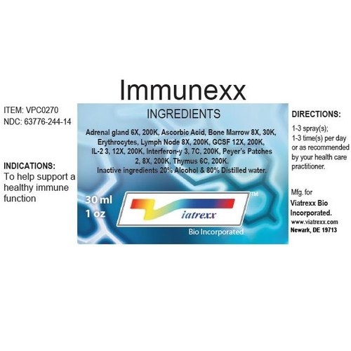 Immunexx Ingredients